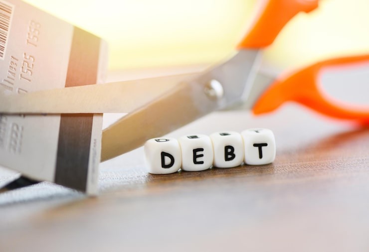 Sovereign Debt